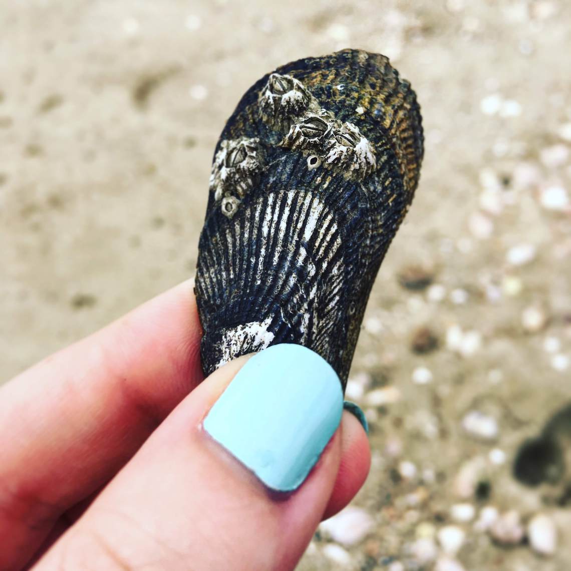 73E7FDCA-F170-4F97-976F-D36E6263AD10